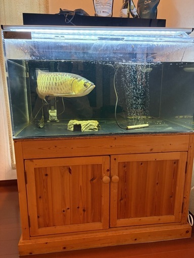 カンテツ　アクリル水槽セット
