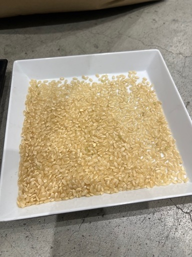 R7年　登米市産　30kg×2  　６０ｋｇ