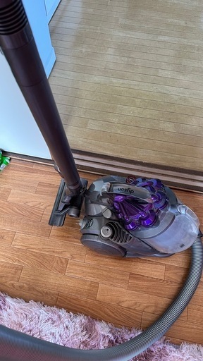 Dyson DC29