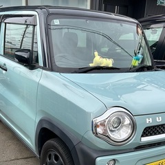 ハスラーの画像
