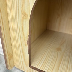 子猫　子犬ハウス　の画像