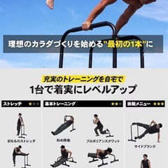 STEADY ディップススタンドの画像