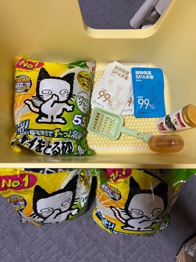 猫　飼うセット