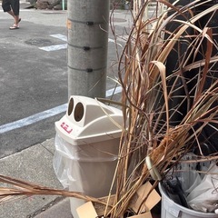 装飾用 枝などの画像