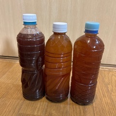めだか用　PSB培養液　
バラ売り可 の画像