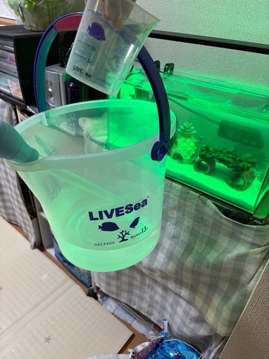 【早い者勝ち・取りに来ていただける方限定】海水水槽アクアリウムセット