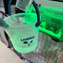 【早い者勝ち・取りに来ていただける方限定】海水水槽アクアリウムセットの画像