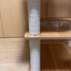 キャットタワーの画像