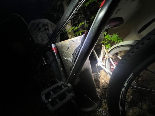 MTB MARIN