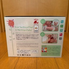 ころりんくまさんの画像