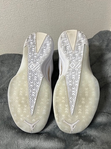 NIKE  AIR JORDAN 40 PF  ナイキ　エアジョーダン40 28cm
