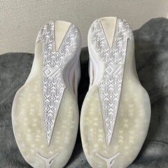 NIKE  AIR JORDAN 40 PF  ナイキ　エアジョーダン40 28cm
の画像