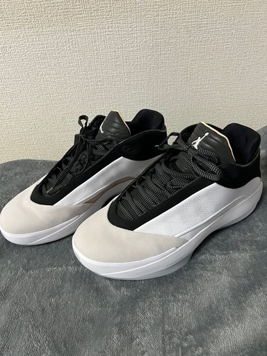 NIKE  AIR JORDAN 40 PF  ナイキ　エアジョーダン40 28cm
