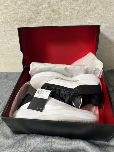 NIKE  AIR JORDAN 40 PF  ナイキ　エアジョーダン40 28cm
