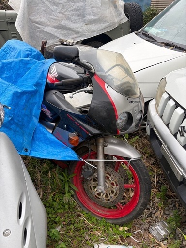 ホンダ CBR250RR MC22 ✳️ 低走行 ✳️ 書有