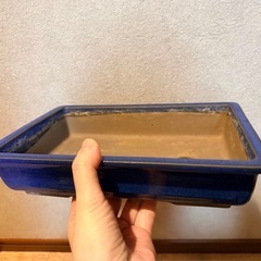 ミニ盆栽の鉢と平たい鉢の画像
