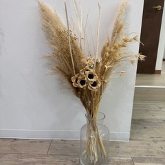 ドライフラワーの画像
