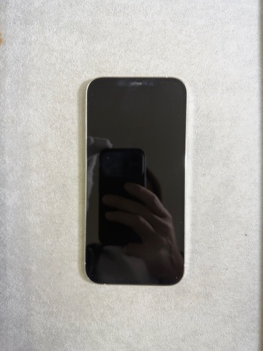 iPhone 12 Pro Max 256GB