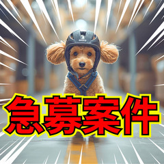 №112532【日勤のみ☀】20～40代の男女活躍中😊/未経験歓迎✨/正社員登用あり🔥/ドラッグストア商品の入出荷業務の画像