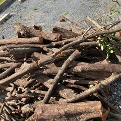 260：（商談中）【超特価】⑨薪用　伐採木・色々・薪木などに　ひと山300円の画像
