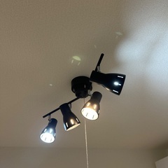 照明です。の画像