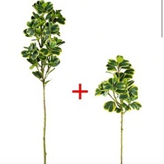 フェイクグリーン　人工観葉植物の画像