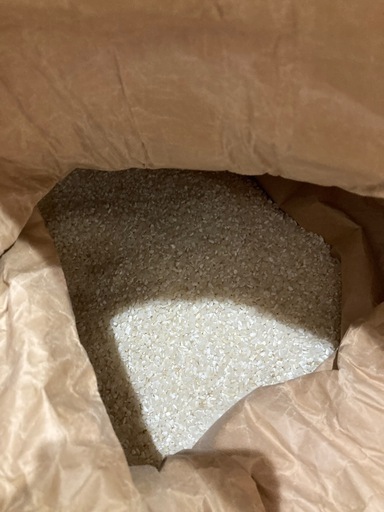 限定1袋‼️中粒米　精米20キロ