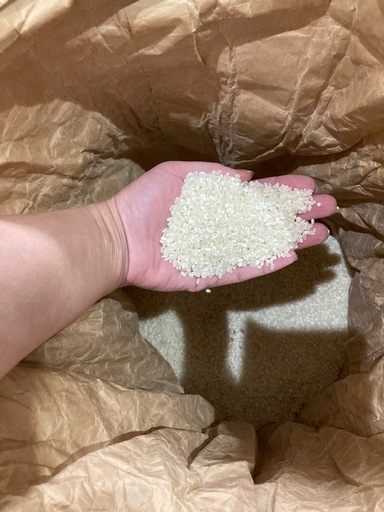 限定1袋‼️中粒米　精米20キロ