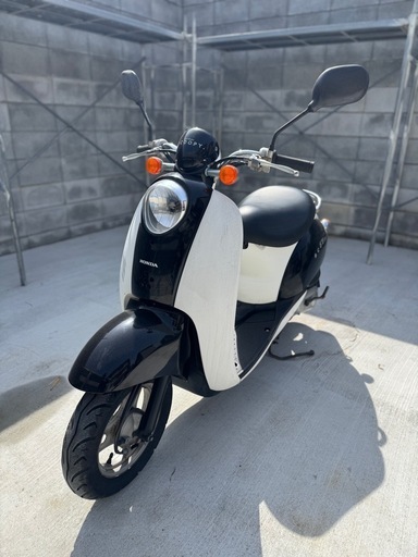 スクーピー af55 (うーたん) 安土のホンダの中古あげます・譲ります｜ジモティーで不用品の処分