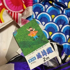 ベランダ用鯉のぼりの画像