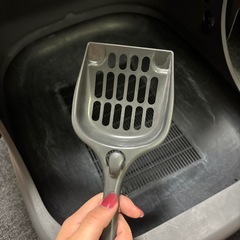 猫用トイレ【早い者勝ち❗️
】の画像