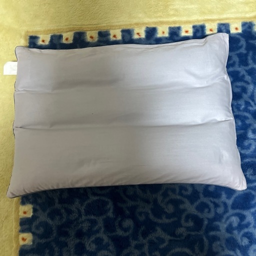 わかさ生活 磁気枕