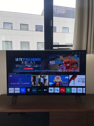 LG 48型 有機ELテレビ 4K エリート21年A1シリーズ