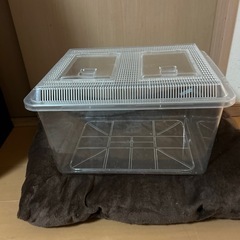 虫や金魚や雛を育てるケース　1番の画像