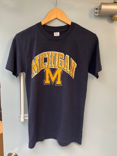 【Ｔシャツ】ミシガン　1980年代　トリコタグ　ヴィンテージ　表記Mサイズ　michigan チャンピオン USA製