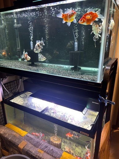 格安フルセット90cm×45cm水槽2段セット上部フィルター、エアー 