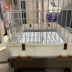 うさぎケージの画像