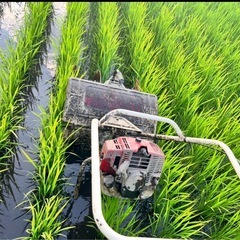 ⭐︎R8 新米予約⭐︎全国発送用玄米30㎏着払い (mmk) 北上の食品の中古 