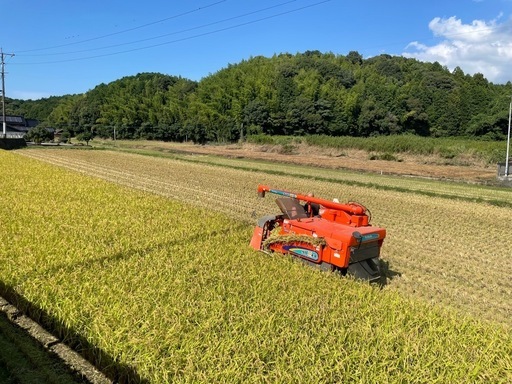 令和7年 夢つくし 福岡県産米 30kg玄米