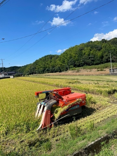 令和7年 夢つくし 福岡県産米 30kg玄米