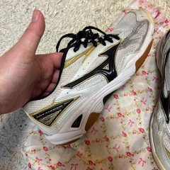 ミズノ　バレーボールシューズの画像