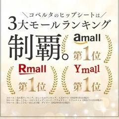 ヒップシート コペルタ 抱っこ紐 コンパクト ショルダー バッグ の画像