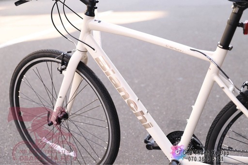 新車　BIANCHI ( ビアンキ ) クロスバイク C SPORT 1 ( C スポーツ1) 51