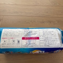 ライフリー　成人用オムツパッド　20枚の画像