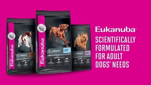 ドッグフード成犬用 大型犬用 プレミアム（チキン味）15kg