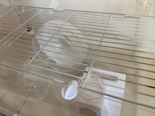 ルーミィ60ベーシック ハムスター飼育セット 