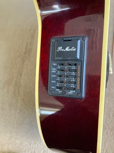Pro Martin　custom　　EA500W　WRS エレアコ　ギター