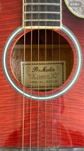 Pro Martin　custom　　EA500W　WRS エレアコ　ギター