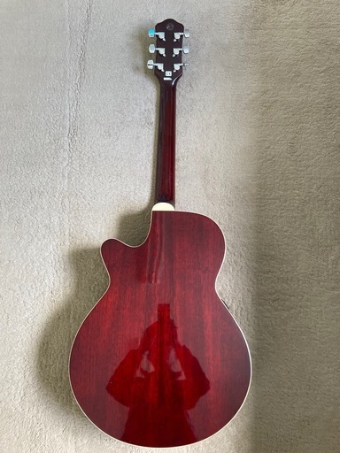 Pro Martin　custom　　EA500W　WRS エレアコ　ギター