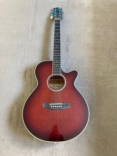 Pro Martin　custom　　EA500W　WRS エレアコ　ギター